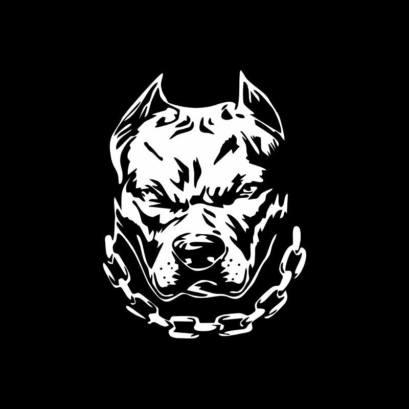 Motorcycle Gear For Dogs - Leuke Hond Hoofd Creatieve Autoruit Motorfiets