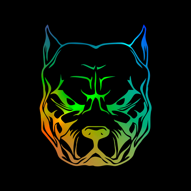Motorcycle Gear For Dogs - Motorsticker Hond Patroon Pitbull Pitbull Reflecterende