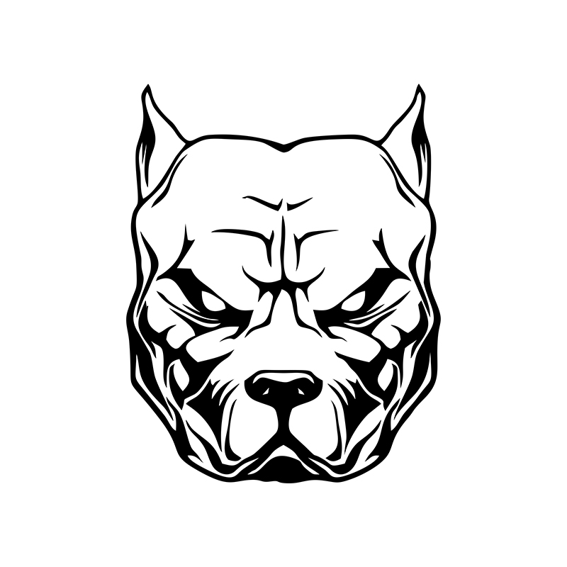 Motorsticker Hond Patroon Pitb - Motorcycle Gear For Dogs recensie en prijs