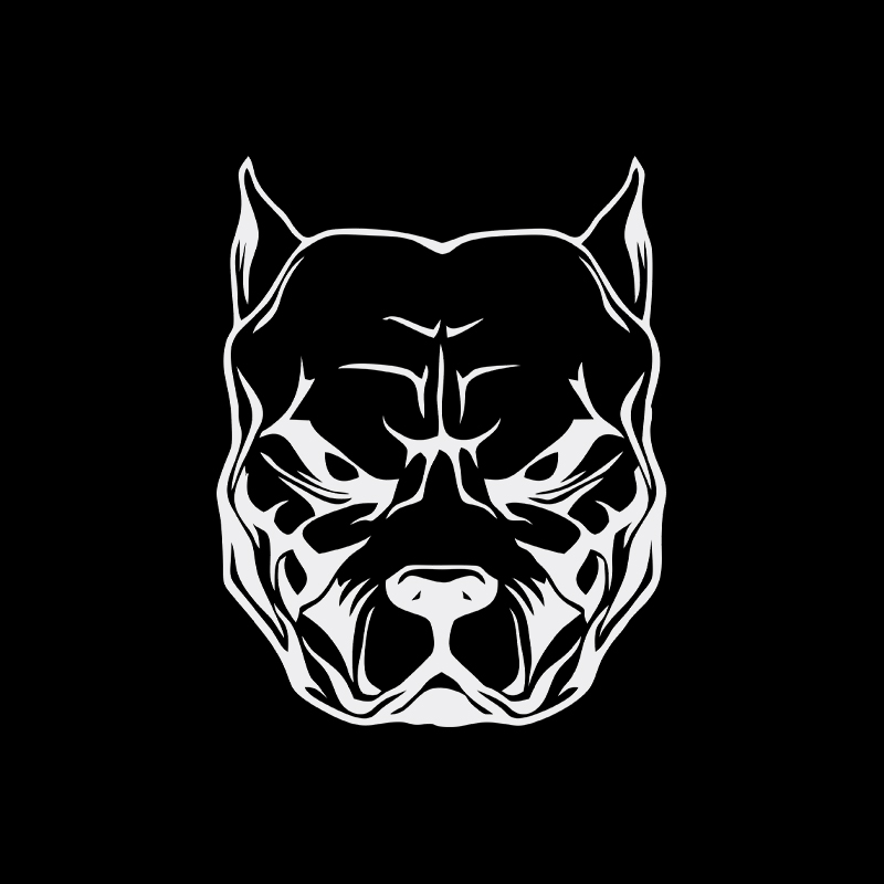 Motorsticker Hond Patroon Pitb - Motorcycle Gear For Dogs recensie en prijs