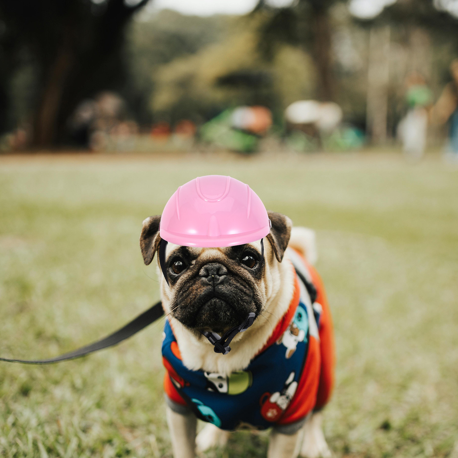 Verstelbare beschermende helm  - Motorcycle Gear For Dogs recensie en prijs