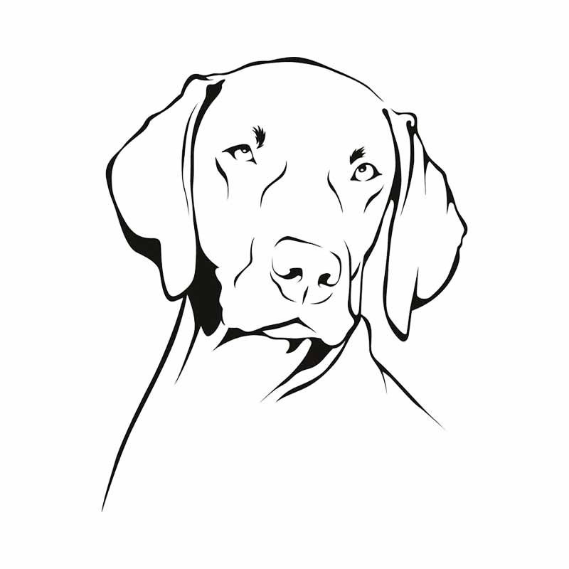 Weimaraner Dog Outline waterdi - Motorcycle Gear For Dogs recensie en prijs