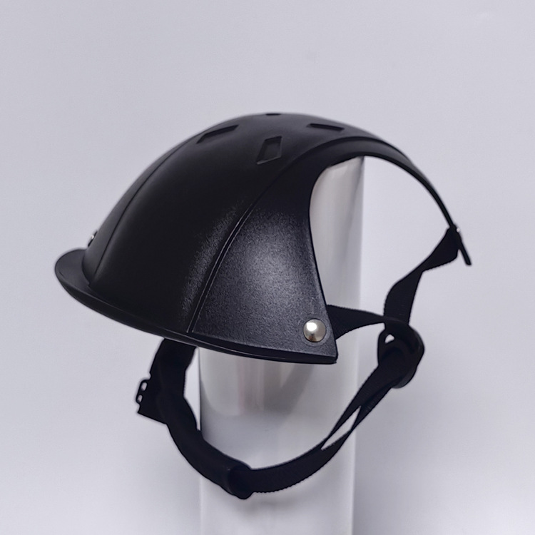 Veiligheidshelm voor huisdiere - Motorcycle Gear For Dogs recensie en prijs