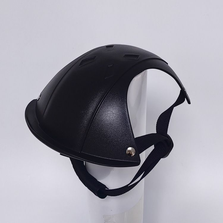 Veiligheidshelm voor huisdiere - Motorcycle Gear For Dogs recensie en prijs