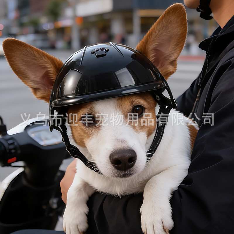 Roze motorhelm voor huisdieren - Motorcycle Gear For Dogs recensie en prijs