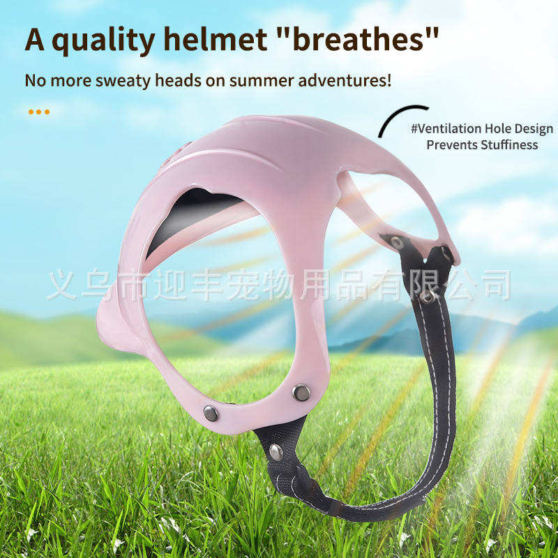 Roze motorhelm voor huisdieren - Motorcycle Gear For Dogs recensie en prijs