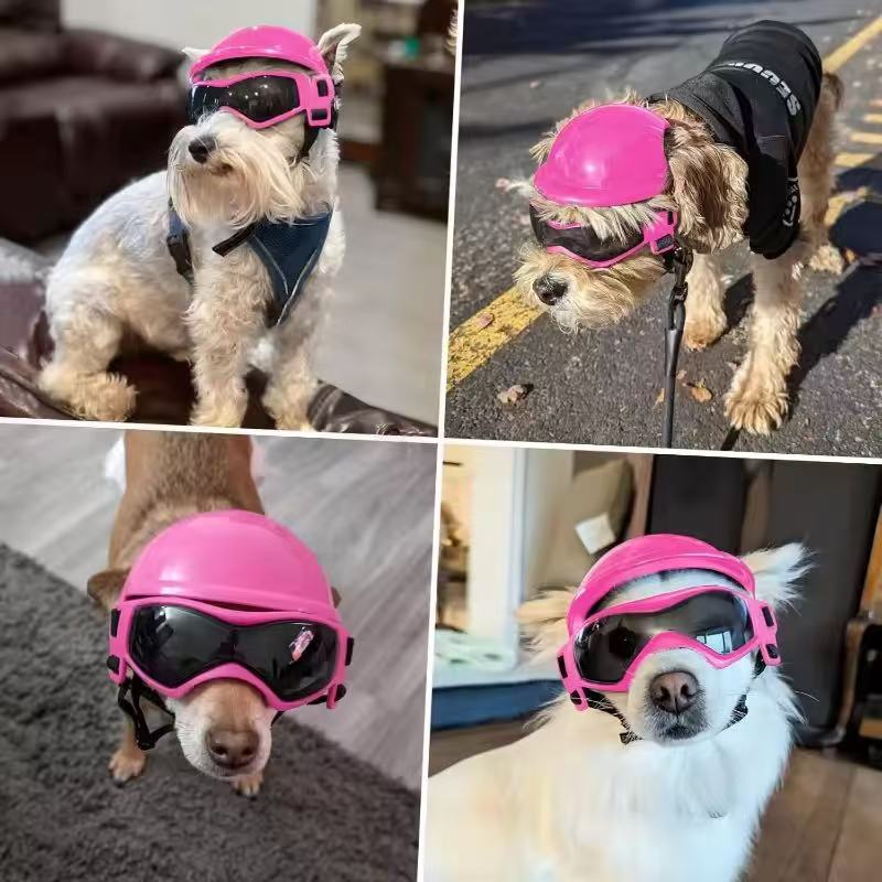 Hond motorhelm brilset, outdoo - Motorcycle Gear For Dogs recensie en prijs