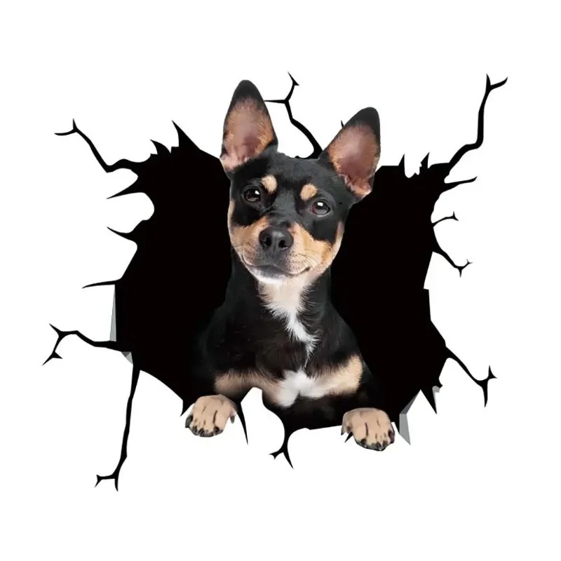 1Pc Franse Bulldog Hond Sticke - Motorcycle Gear For Dogs recensie en prijs
