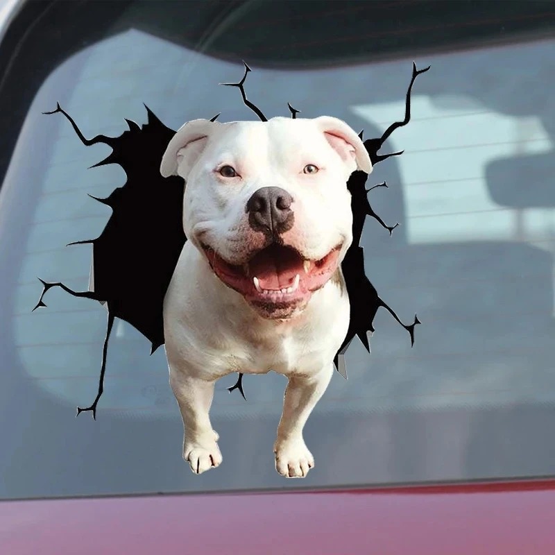 1Pc Franse Bulldog Hond Sticke - Motorcycle Gear For Dogs recensie en prijs